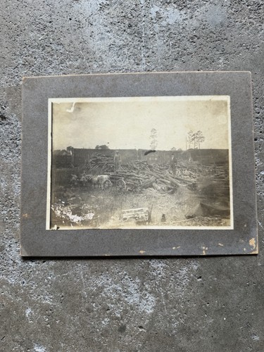 Antique 1900s photo - 1900s, log